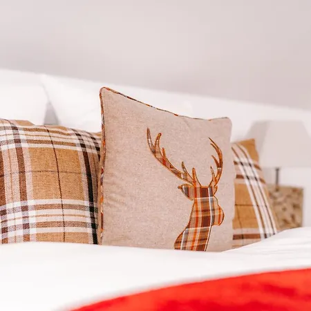 Aparthotel Black Forest Dream Feldberg (Baden-Wurttemberg)