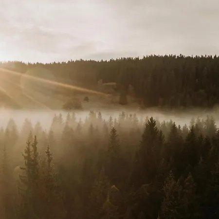 Black Forest Dream * Feldberg (Baden-Wurttemberg)