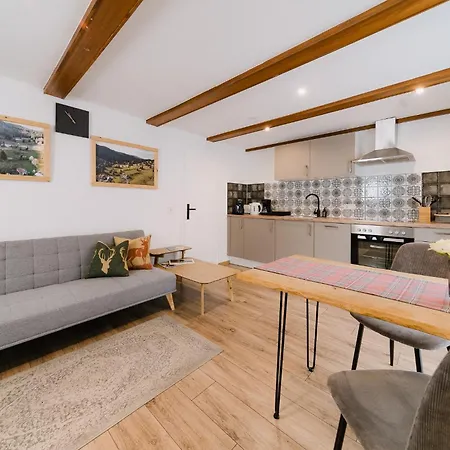 Aparthotel Black Forest Dream 4*